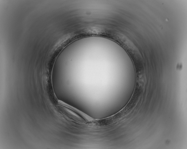 X0000097640544200803142049