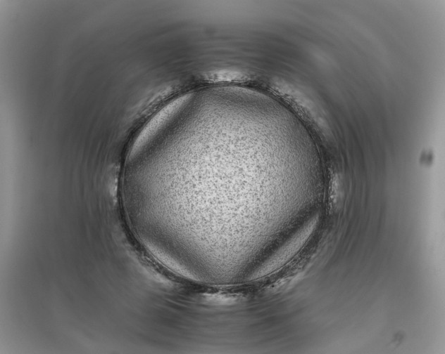 X0000097640545200803142049