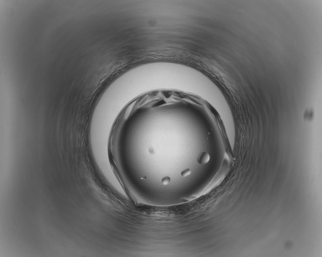 X0000097640546200803142049