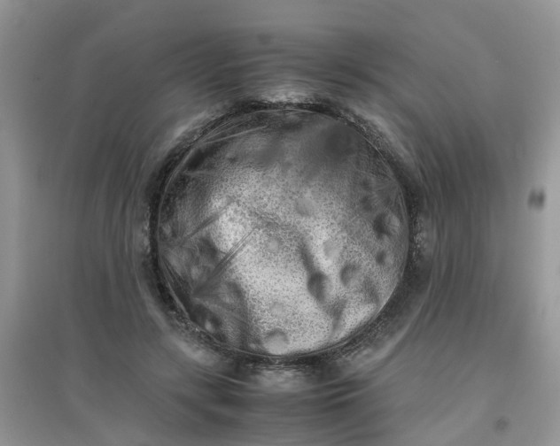 X0000097640547200803142049