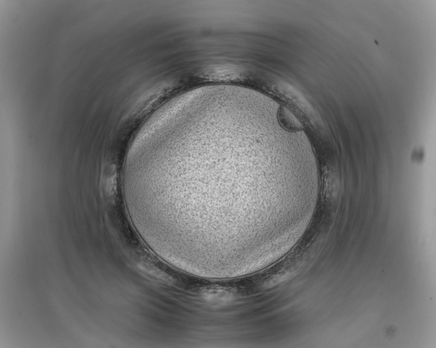 X0000097640549200803142049