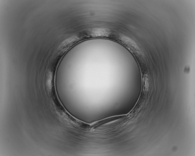 X0000097640550200803142049