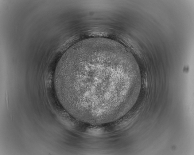 X0000097640551200803142049