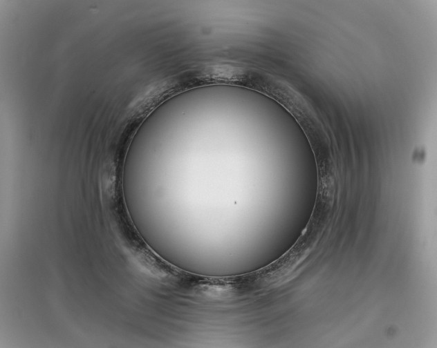 X0000097640552200803142049