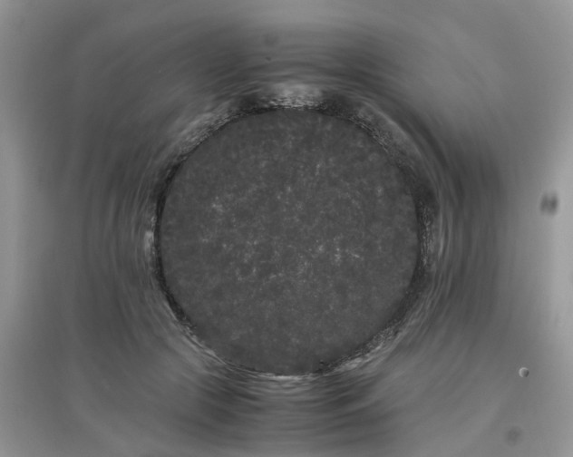 X0000097640553200803142049