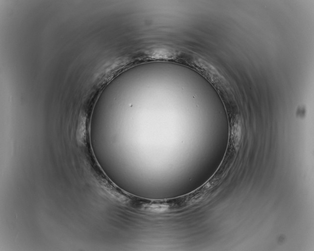 X0000097640554200803142049