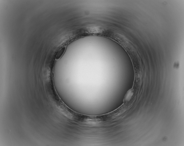 X0000097640556200803142049