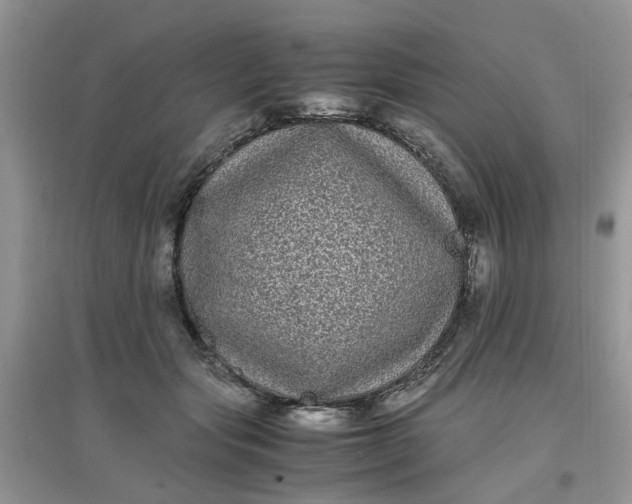 X0000097640557200803142049