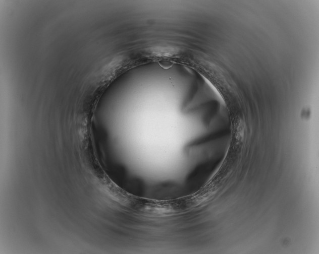 X0000097640559200803142049