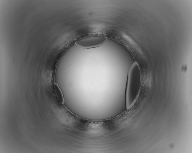 X0000097640560200803142049