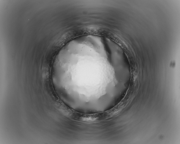 X0000097640561200803142049