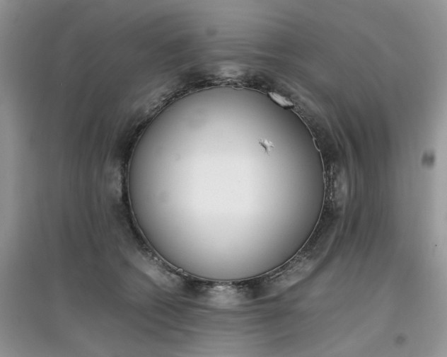 X0000097640562200803142049