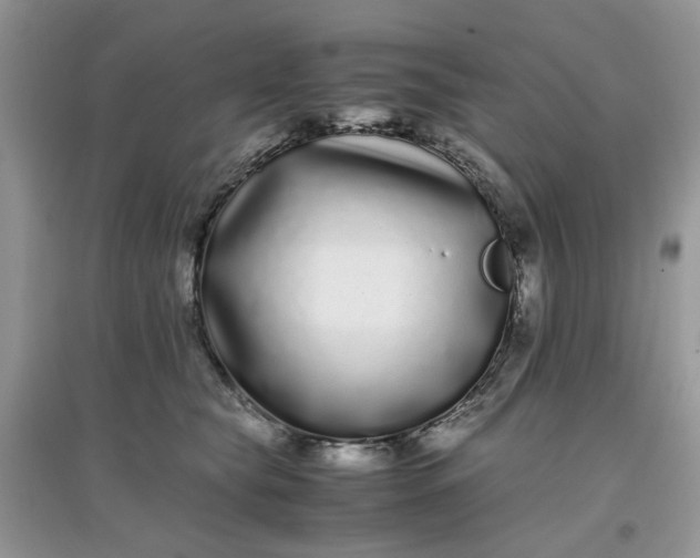 X0000097640565200803142049