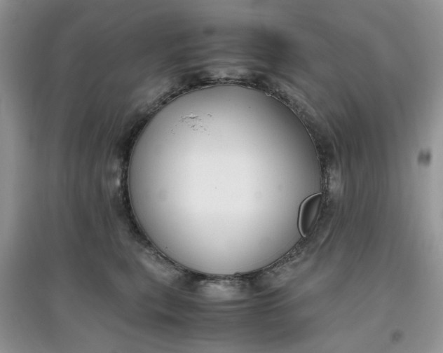 X0000097640567200803142049