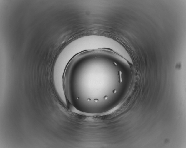 X0000097640568200803142049