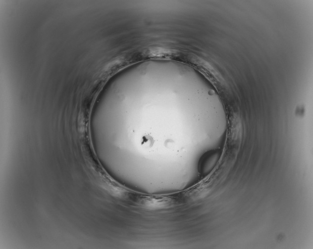 X0000097640569200803142049