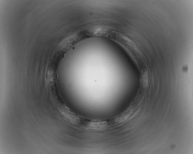 X0000097640571200803142049