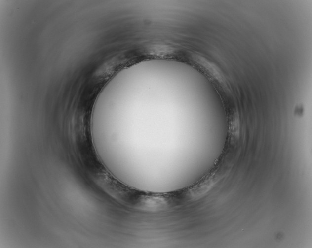 X0000097640572200803142049