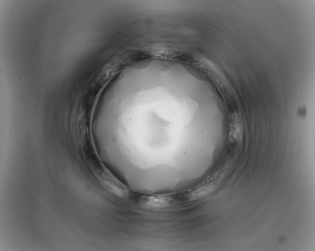 X0000097640573200803142049