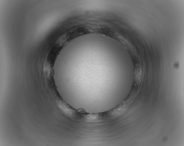 X0000097640574200803142049