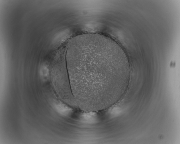 X0000097640576200803142049