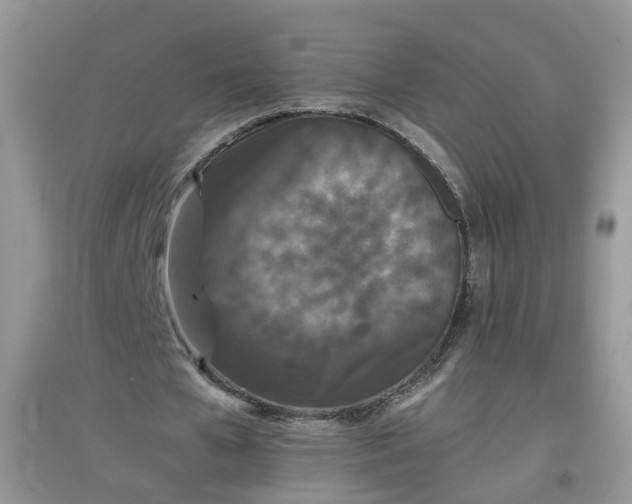 X0000097640577200803142049