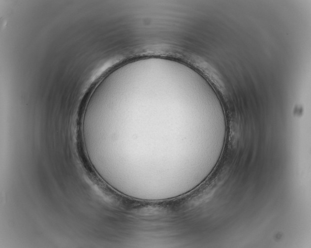 X0000097640578200803142049