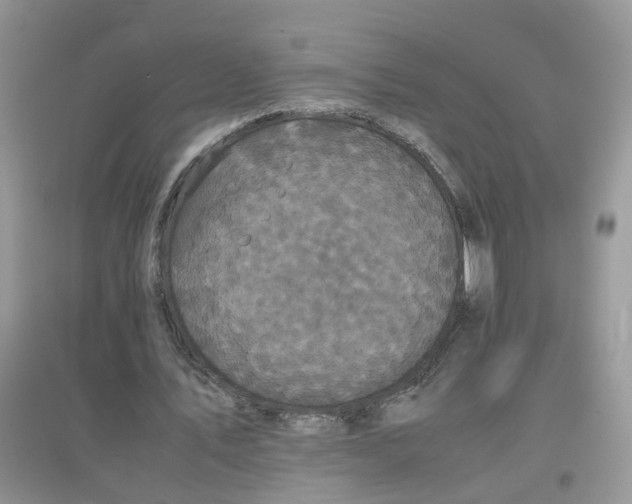 X0000097640579200803142049