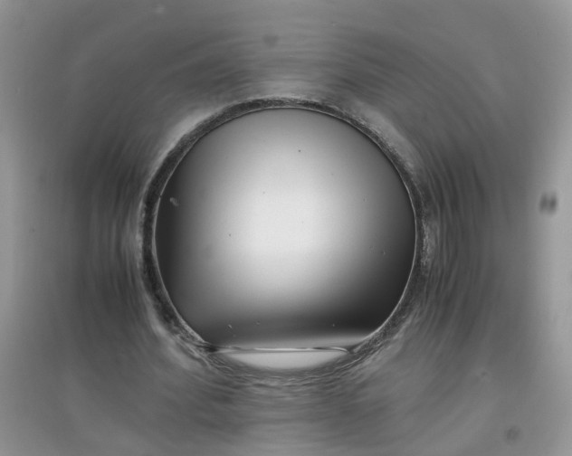 X0000097640580200803142049