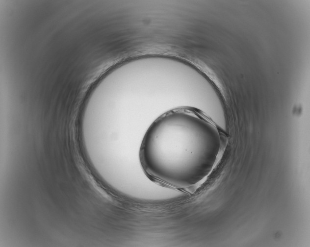 X0000097640581200803142049