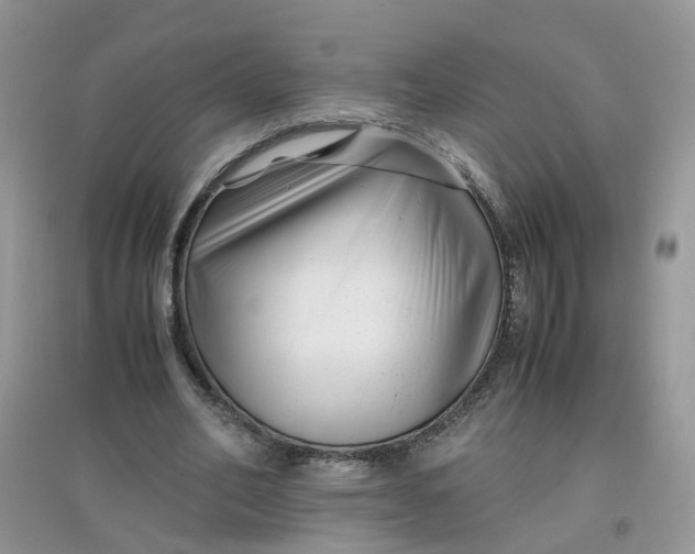 X0000097640582200803142049