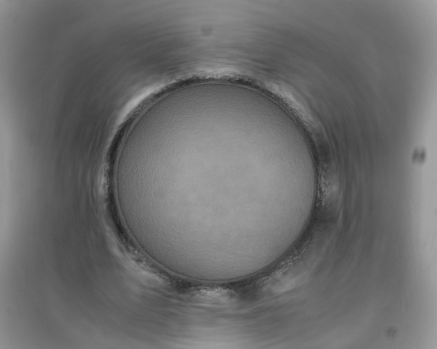 X0000097640583200803142049