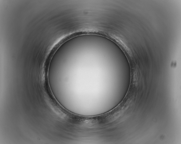 X0000097640584200803142049