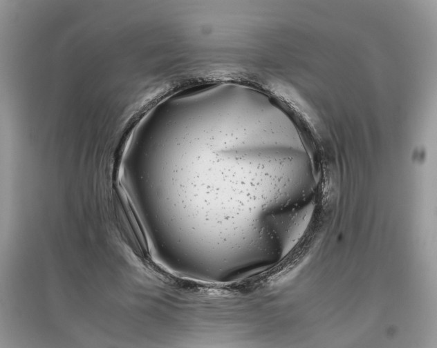 X0000097640585200803142049