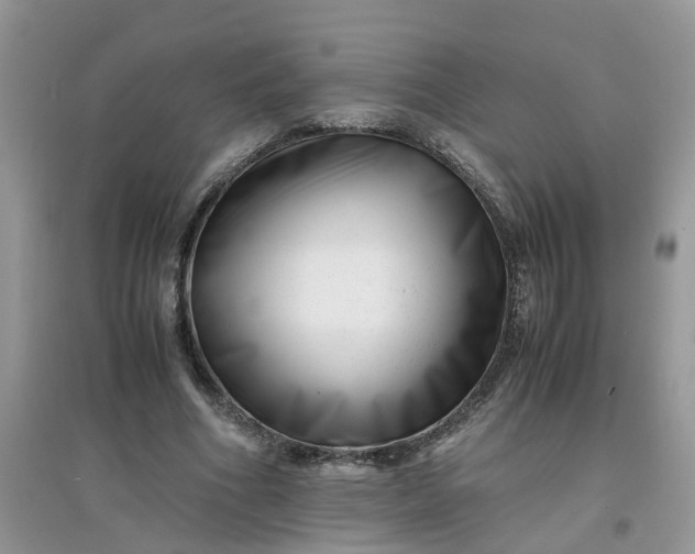 X0000097640586200803142049