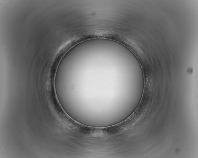 X0000097640587200803142049