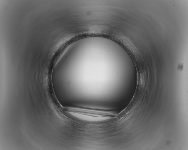 X0000097640588200803142049