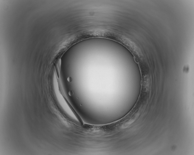 X0000097640589200803142049