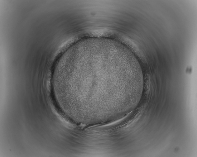 X0000097640590200803142048