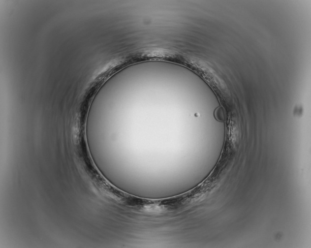 X0000097640591200803142048