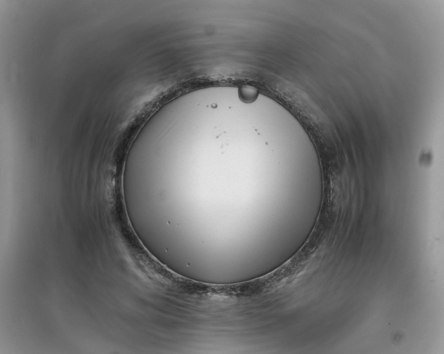 X0000097640592200803142048