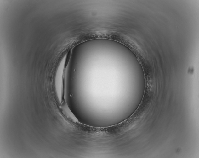 X0000097640593200803142048