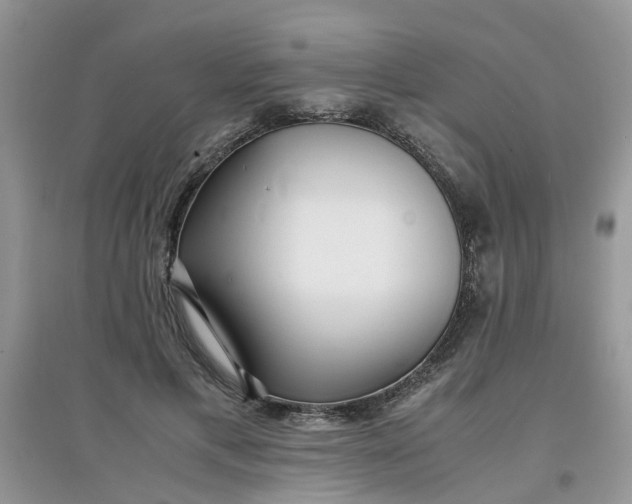 X0000097640597200803142048