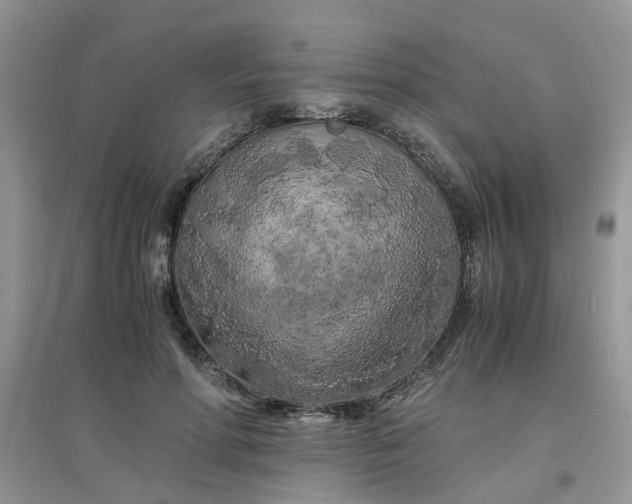 X0000097640598200803142048