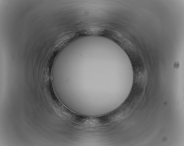 X0000097640599200803142048