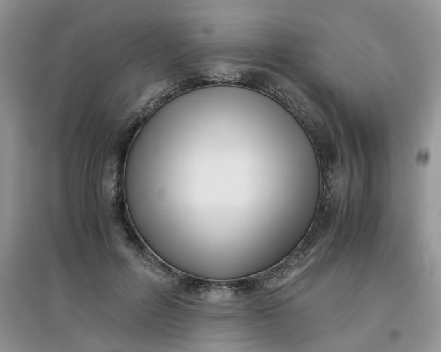 X0000097640600200803142048