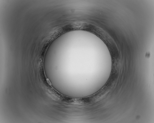 X0000097640601200803142048