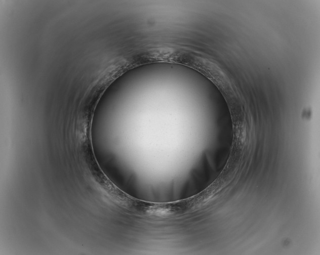 X0000097640602200803142048