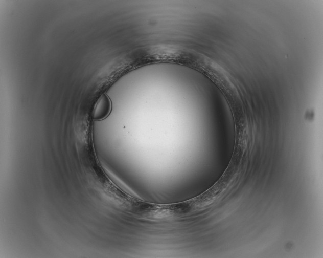 X0000097640604200803142048