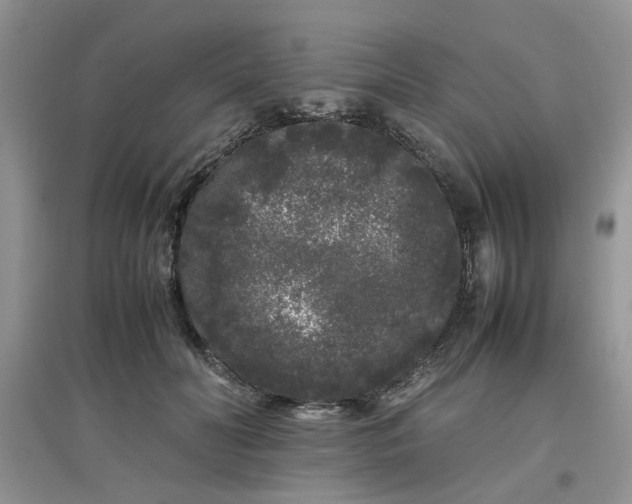 X0000097640606200803142048